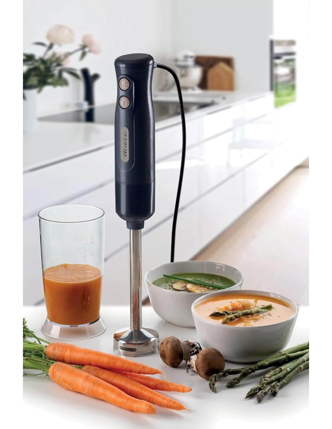 FRULLATORE IMMERSIONE 601 LAME INOX 700W su TreG Ingrosso