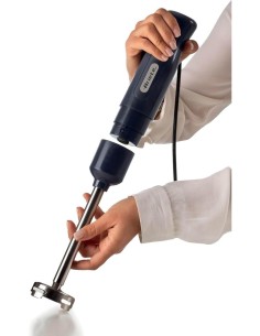 FRULLATORE IMMERSIONE 601 LAME INOX 700W su TreG Ingrosso