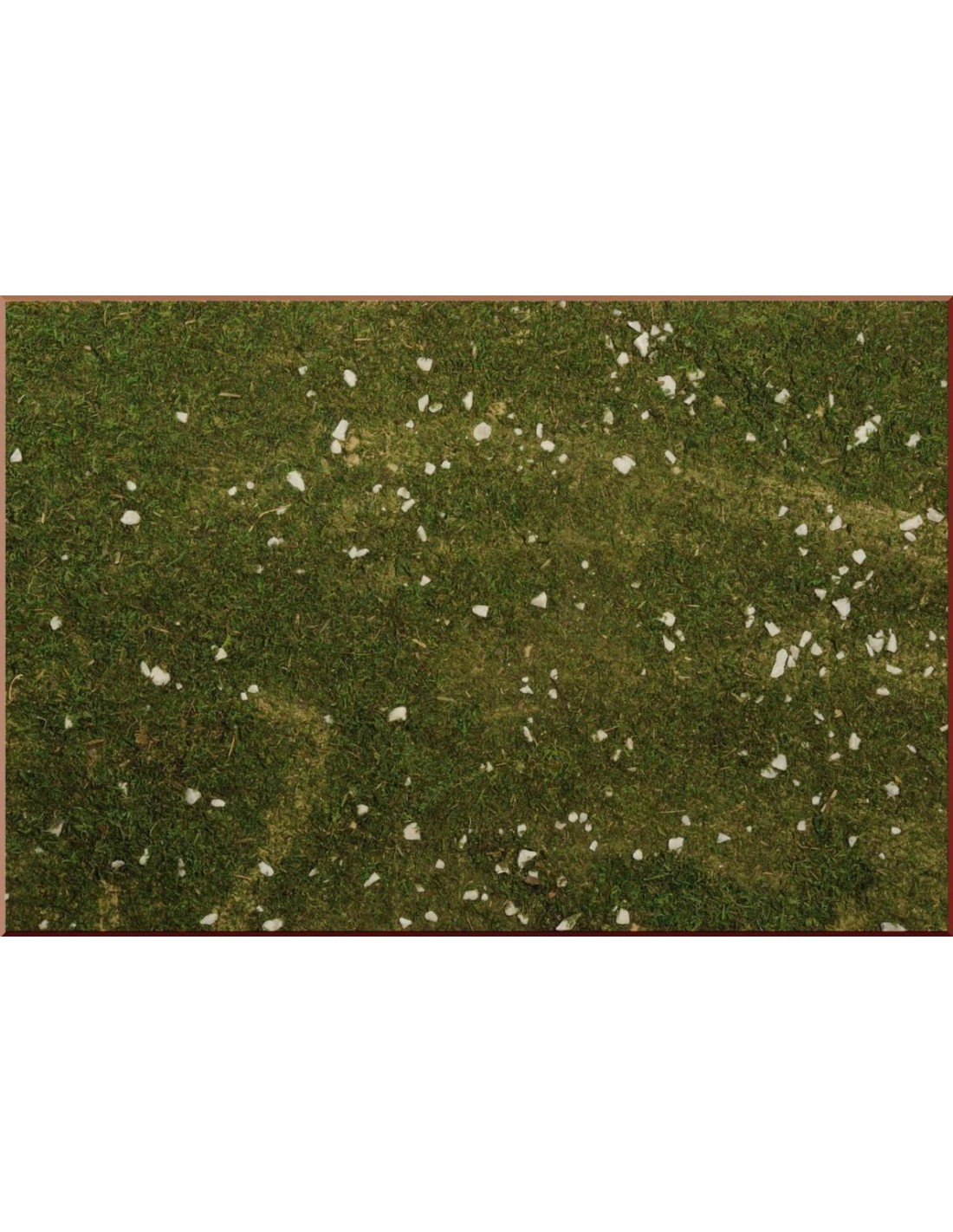 CARTA PRAT0 86137 C/MUSCHIO su TreG Ingrosso