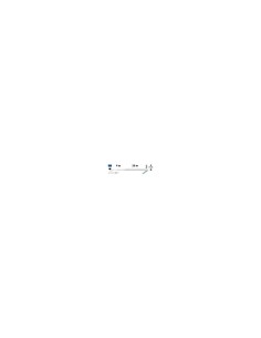 CATENA LUMINOSA 59429 CATENA 100MINILED BIANCO CALDO su TreG Ingrosso 2