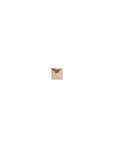 RENNA LUMINOSA 63891 200LED TRADIZIONAL 105CM su TreG Ingrosso