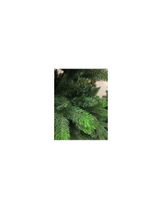 ALBERO MONTECARLO 240 DIAM 121 FLORA su TreG Ingrosso