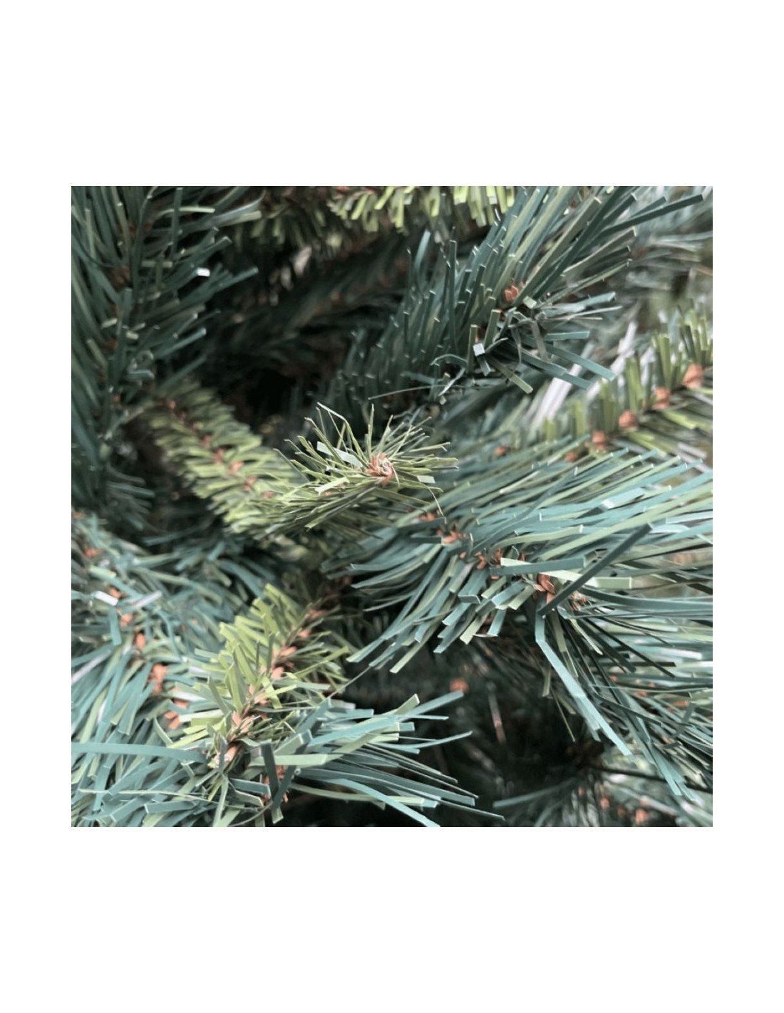 ALBERO NEW ROYAL 210.19796 su TreG Ingrosso