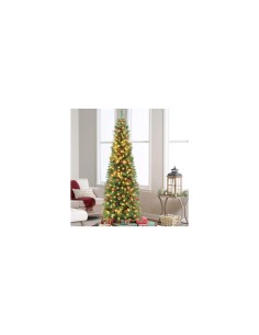 ALBERO SILVESTRE 210 DIAM 69 FLORA su TreG Ingrosso
