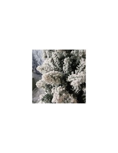 ALBERO STELLA 270.31780 FLOCCATO PE+PVC+PP su TreG Ingrosso