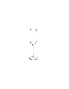 SERVIZIO 18 CALICI 154709 LINA su TreG Ingrosso