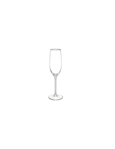 SERVIZIO 18 CALICI 154709 LINA su TreG Ingrosso