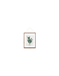 QUADRO 162318 FOGLIE 38X48CM ASSORTITO