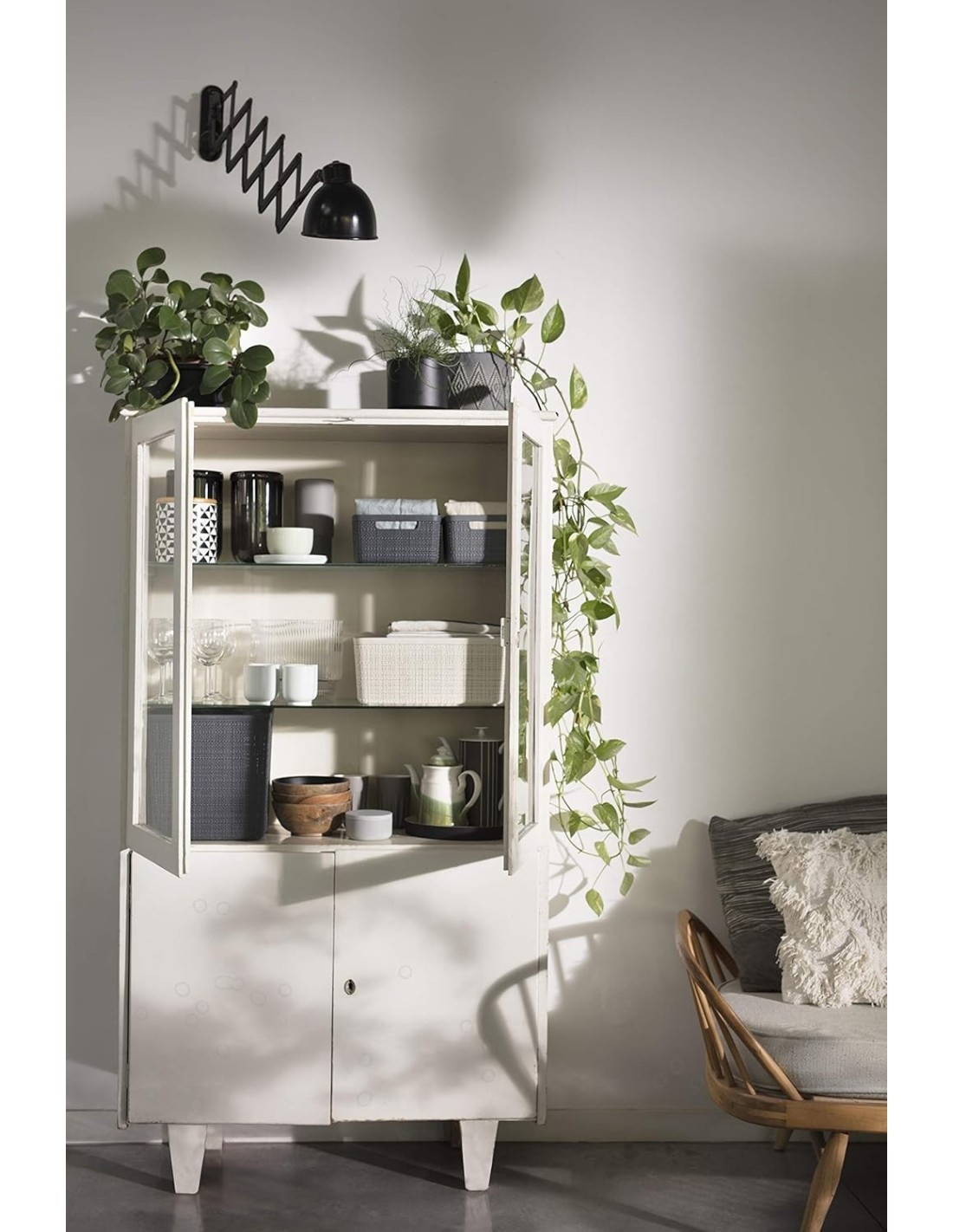 CESTINO L RETTANGOLARE 20LT su TreG Ingrosso