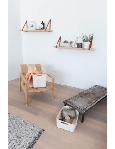 CESTINO L RETTANGOLARE 20LT su TreG Ingrosso