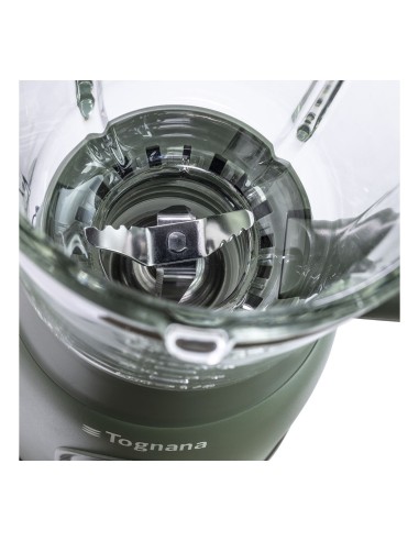 Tognana Iridea Frullatore Elettrico colore Verde Salvia