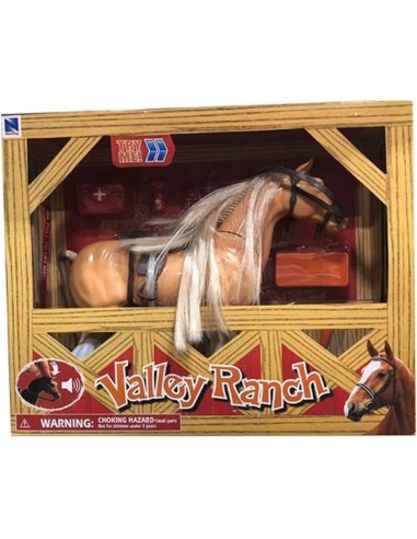 CAVALLO 37605 VALLE RANCH SONORO