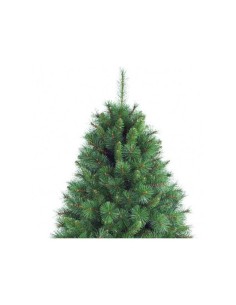 ALBEROGREEN PEAK 300CM su TreG Ingrosso