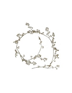 FESTONE PLASTICA ORO CM156