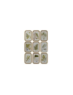 QUADRO CU207788 BOTANICO 3045CM ASSORTITO MDF/CRISTALLO