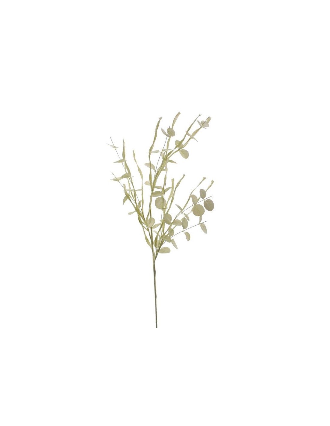 RAMO 7692-09 EUCALYPTUS VERDE