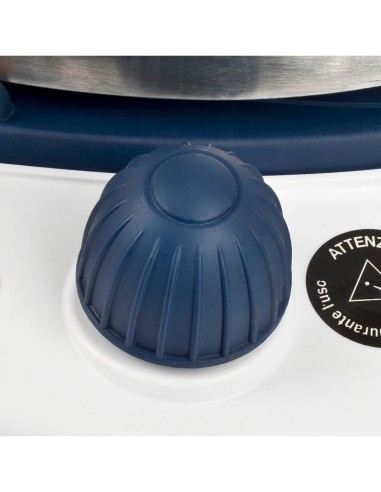 Ferro da Stiro con Caldaia Professionale Ferrari G3 - VAP G40019 - 2000W | Tre G Ingrosso