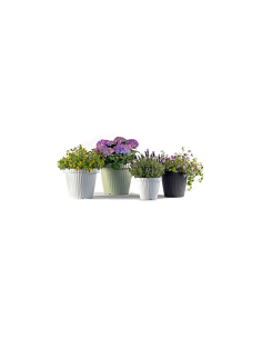 VASO ONDA 31391 20CM GRAFITE 2