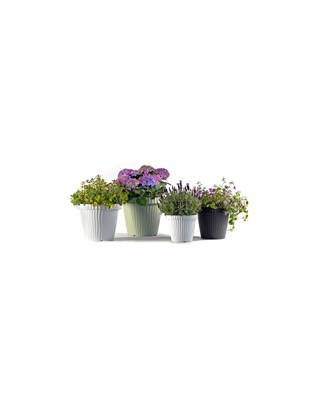VASO ONDA 31392 20CM SALVIA