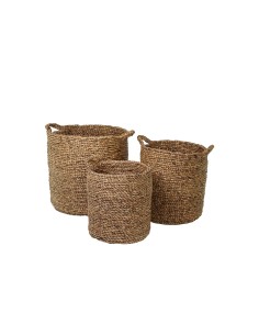 CESTO 138183 2 MIS GIACINTO D'ACQUA NATURALE