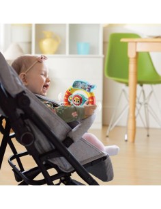 VTech Baby Volante delle Scoperte - Gioco Interattivo per Bambini 6-36 Mesi 2