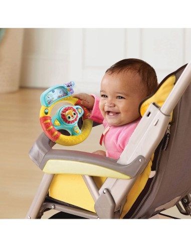VTech Baby Volante delle Scoperte - Gioco Interattivo per Bambini 6-36 Mesi