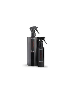 INTENSO PROF SPRAY 100ML MELOGRANO su TreG Ingrosso