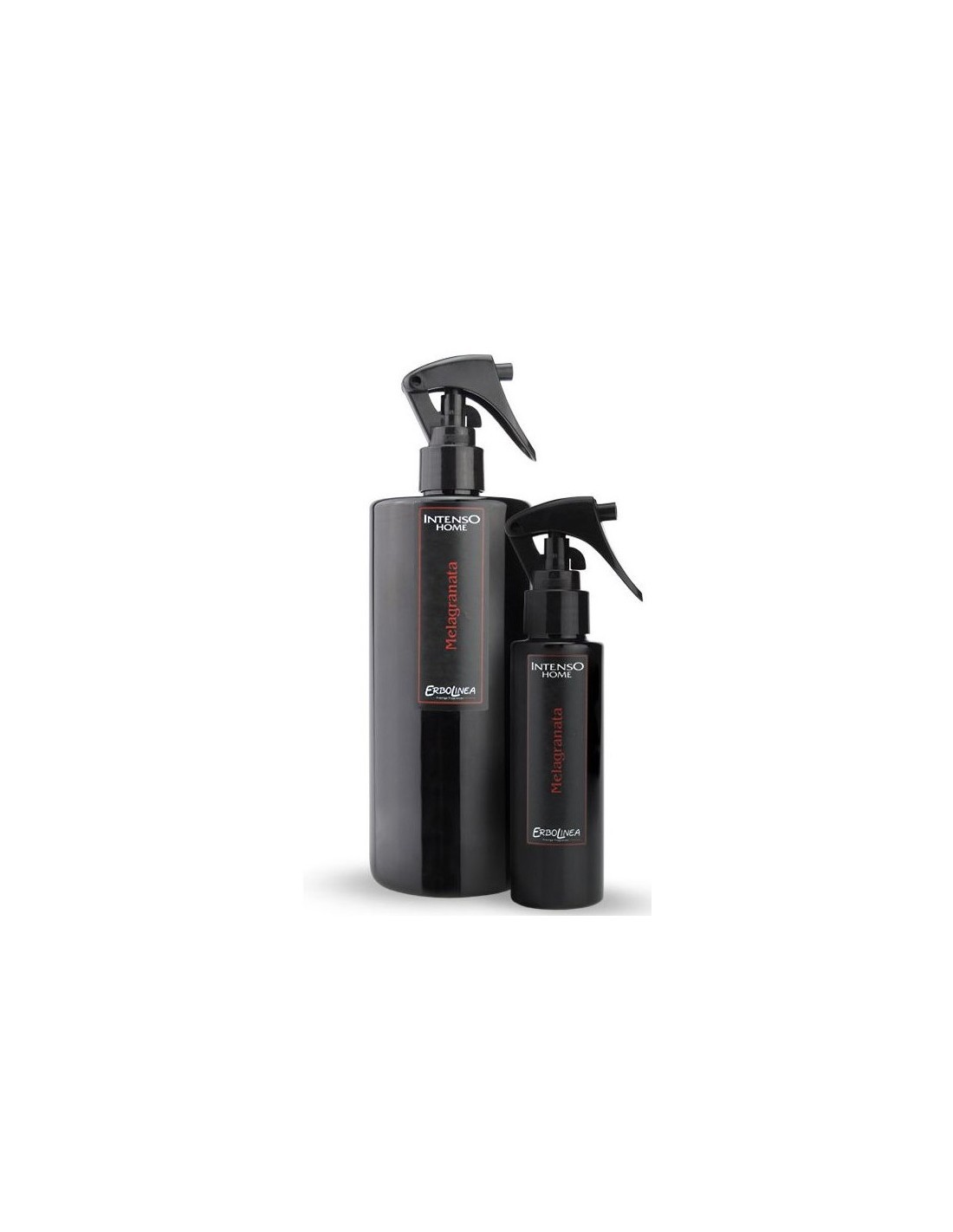 INTENSO PROF SPRAY 100ML MELOGRANO su TreG Ingrosso