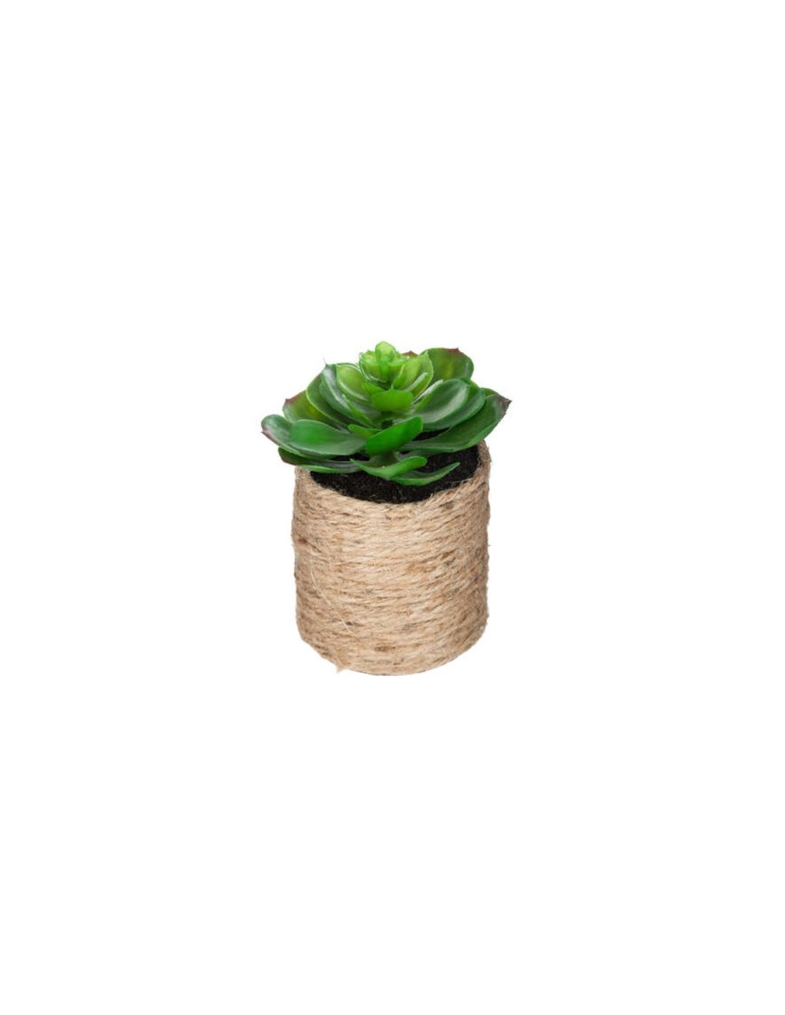 PIANTA VERDE 160065 VASO CORTA 16CM ASSORTITO