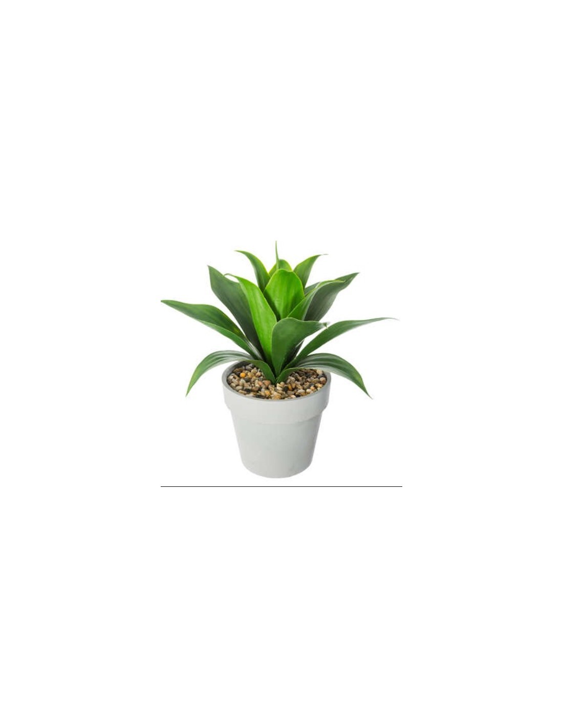 PIANTA 160073 ALOE VERA H35CM CON VASO
