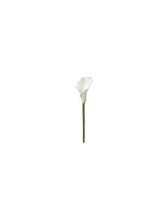 PIANTA 121515 STELO DI ARUM H75CM BIANCO