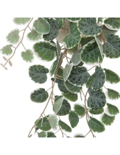 PIANTA PENSILE 193710 VASO PLASTICA H30CM 2