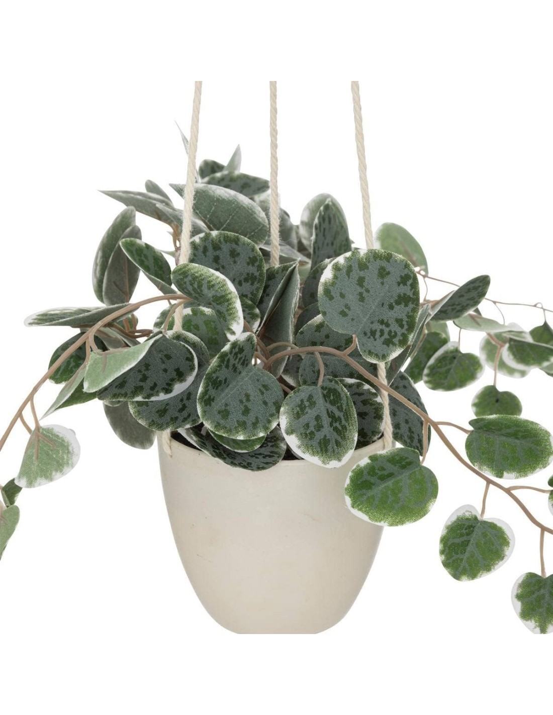 PIANTA PENSILE 193710 VASO PLASTICA H30CM