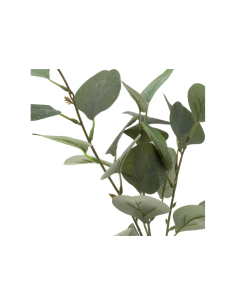 RAMO EUCALIPTO 168579 IN BOTTIGLIA H45CM CON CORDA