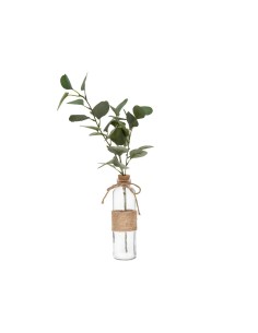 RAMO EUCALIPTO 168579 IN BOTTIGLIA H45CM CON CORDA 2