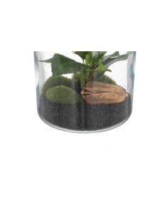 PIANTA 193718 IN VASETTO VETRO 12X19,5CM