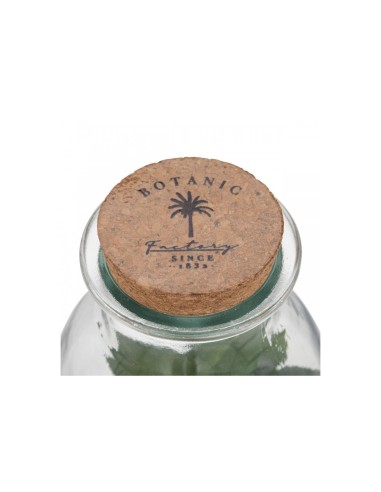 PIANTA 193718 IN VASETTO VETRO 12X19,5CM