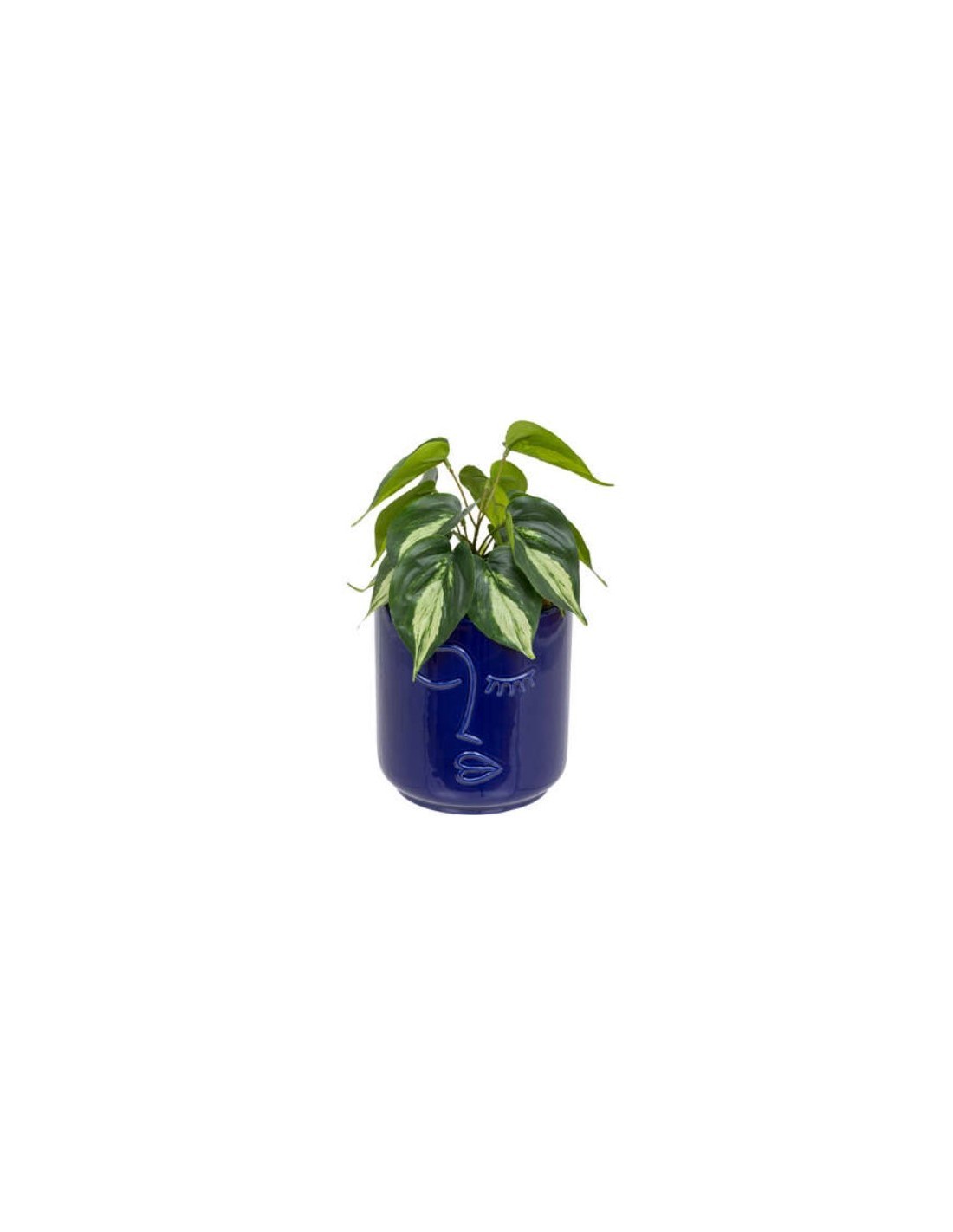 PIANTA 198130 SOLEYA H30CM VASO CERAMICA BLU