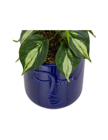 PIANTA 198130 SOLEYA H30CM VASO CERAMICA BLU