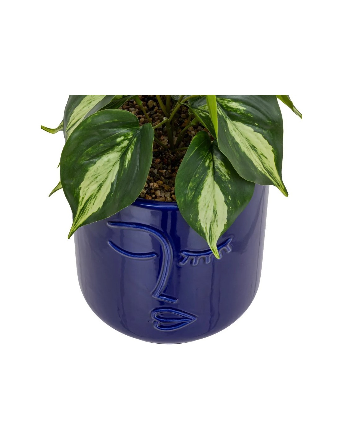 PIANTA 198130 SOLEYA H30CM VASO CERAMICA BLU