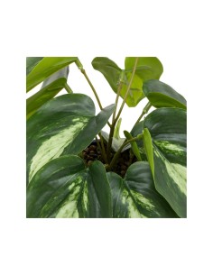 PIANTA 198130 SOLEYA H30CM VASO CERAMICA BLU