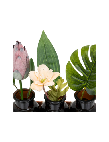 SET 3 VASETTI 198123 VETRO 22X26CM CON PIANTINE