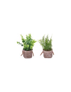 PIANTA 83541 CON VASO CEMENTO 12X28CM ASSORTITO