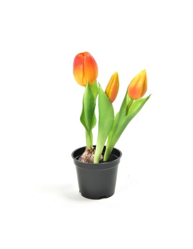 TULIPANO 12589 ARANCIO GOMMA 21CM CON VASO