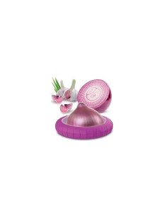 Contenitore salvalimenti Pedrini – Conserva cipolle fresche, silicone e plastica