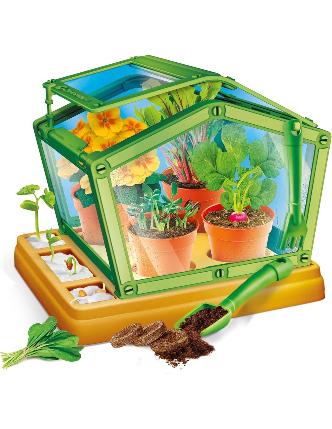 Clementoni Serra Botanica per Bambini – Kit Scientifico con Semi, Serra e Attrezzi da Giardino