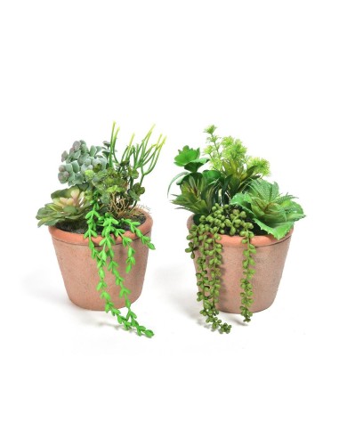 PIANTA GRASSA 11643 VASO CEMENTO 18X30CM ASSORTITO