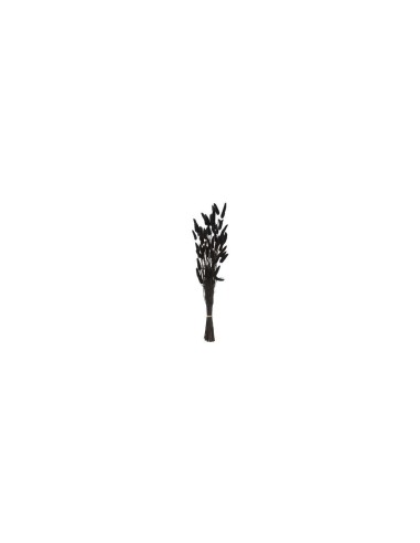 MAZZO FIORI SECCHI 189113D PENNISETO 58CM NERO