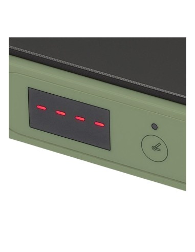 Tognana Iridea Piastra elettrica ad induzione 200-2000W colore verde salvia