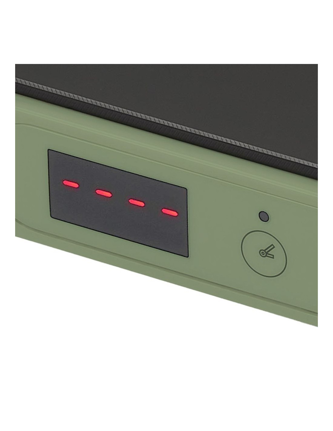 Tognana Iridea Piastra elettrica ad induzione 200-2000W colore verde salvia